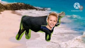 побег от быка add round 1