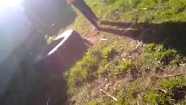 Грибы -Между нами тает лед