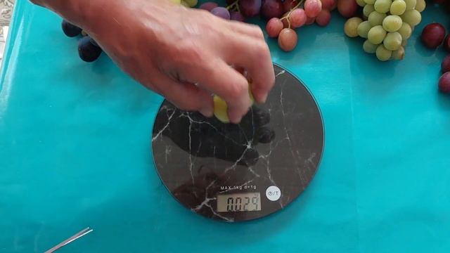 Tafeltrauben, meine frühreifenden Sorten Teil 2, 11.08.2022 смотреть онлайн