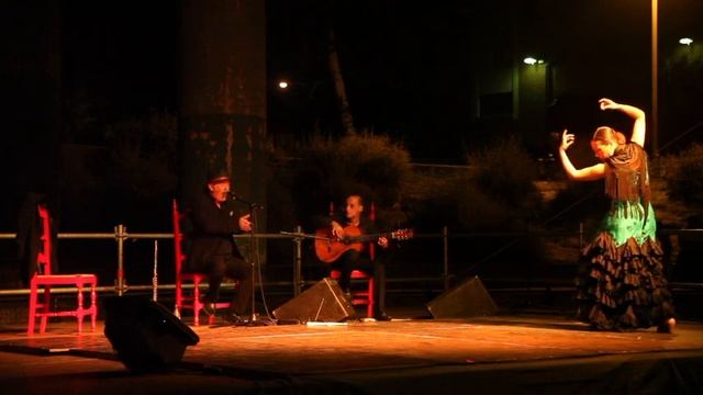 Curro Cueto, Javier Romanos y Begoña Castro en Segovia смотреть онлайн