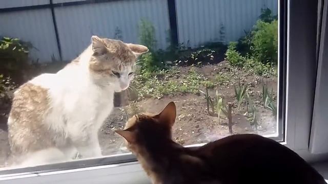 Мы только в двоем