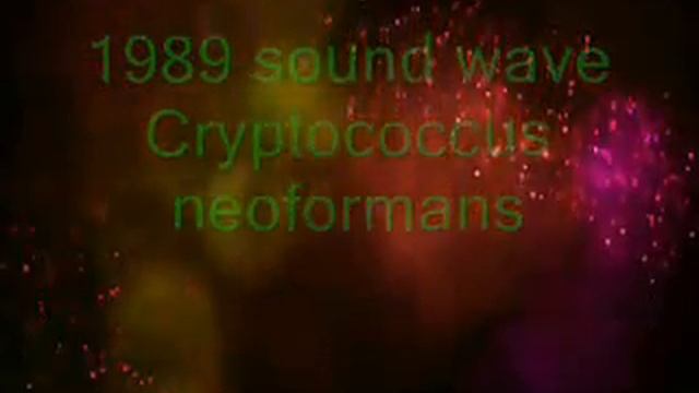 Rife Frequency | Cryptococcus Neoformans | Binaural Beats | 1989 Sound Wave