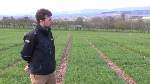 Crop Doctor visits Callow and it doesn’t disappoint! смотреть онлайн