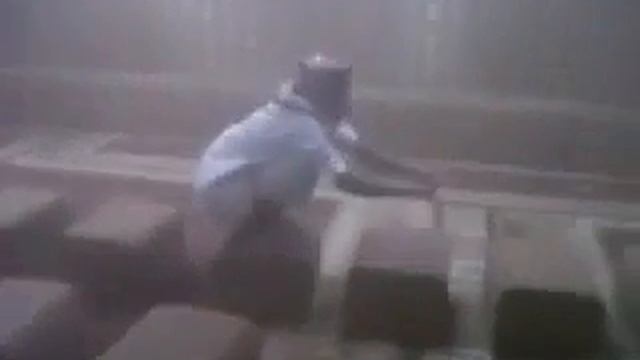 The super mirio смотреть онлайн