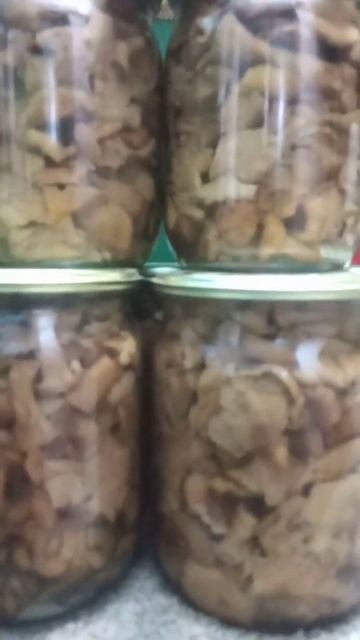 рецепт лисичек без лишних слов