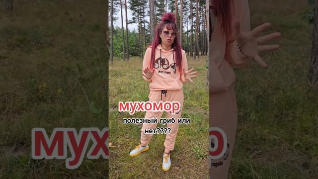 мухомор #можно #есть#вопрос #2023 #путешествия смотреть онлайн