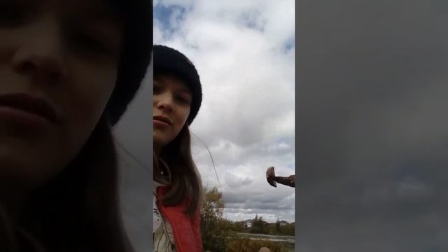 Мы вышли на природу собирать грибы! 3