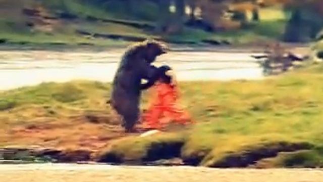 Мишка научился круто драться смотреть онлайн