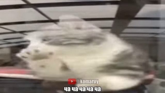 На теле как саранча🦗 смотреть онлайн