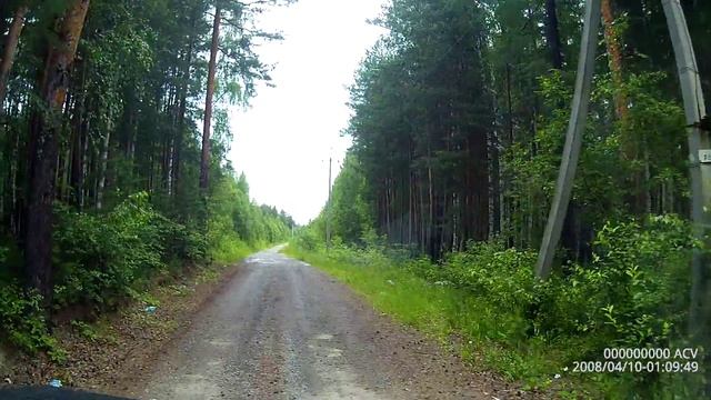 Земляники набрали, теперь за маслятами смотреть онлайн