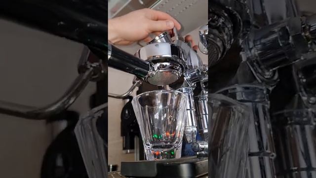 Nautilus Grinder Extraktion смотреть онлайн