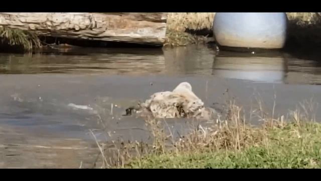 Our sweet Sonya. She is just too precious. Love this girl! смотреть онлайн