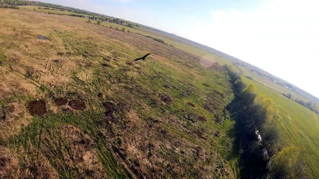 Полёт ястреба смотреть онлайн