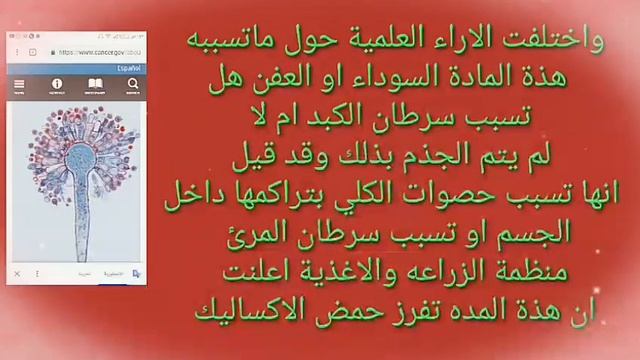 كيف تتعاملين مع العفن الاسودبالبصل (Aspergillus Niger) /الافلاتوكسين