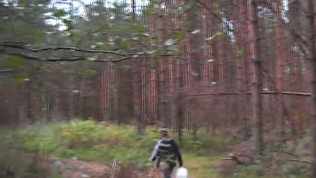 грибы 2011 смотреть онлайн