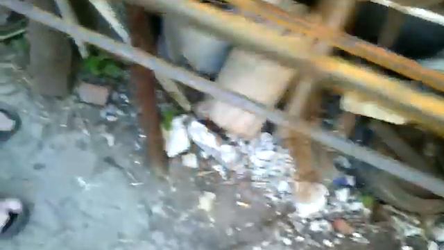 Что Ване стоит дом построить? 1ч.