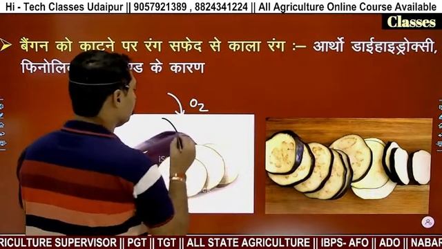 OLERICULTURE 10 | VEGETABLE CROP | BRINJAL | FOR ALL AGRICULTUE EXAM смотреть онлайн