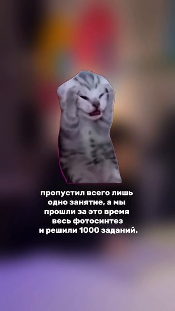 люблю всех своих учеников 🐱 #биология #егэ #подготовкаегэ #егэ2024 #мем смотреть онлайн