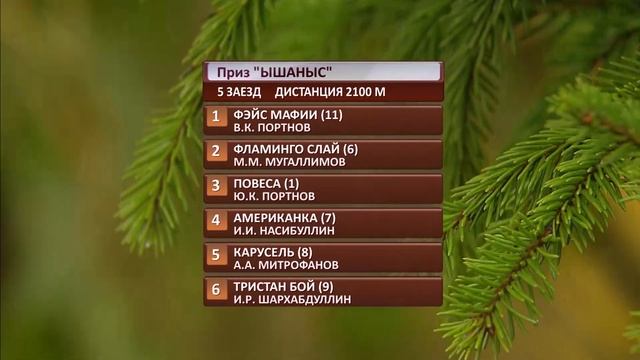Финал первого Турнира Терра Башкирия. Дата соревнования 11.10.2019 смотреть онлайн