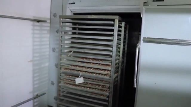 factory productive pet food process display #dog смотреть онлайн