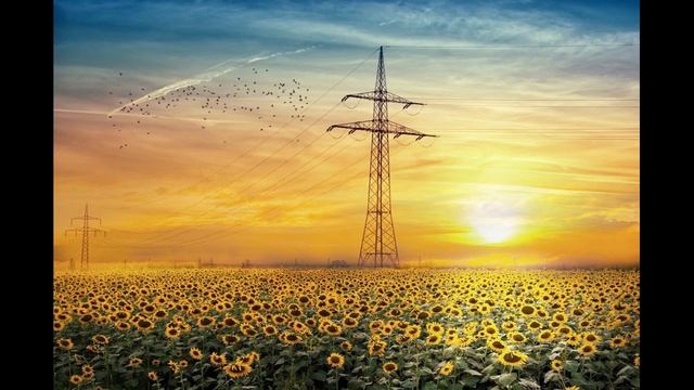 Music for everybody / Sunpower chill beat / Electronic power sound смотреть онлайн