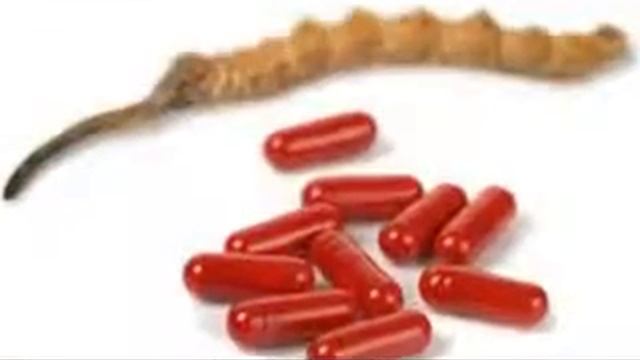 Nu V Cordyceps - Highest Grade Of TCM Herbs | Apnutripharm.com