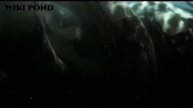 TAITONOBA | THE BIGGEST MONSTER | TAMIL | Wiki Pond смотреть онлайн