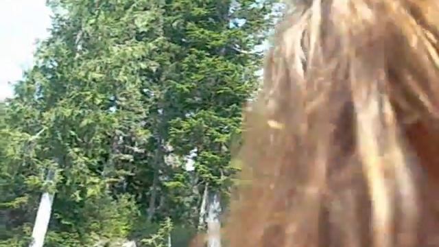 some of Tara's visit - Mt Rainier National Park смотреть онлайн