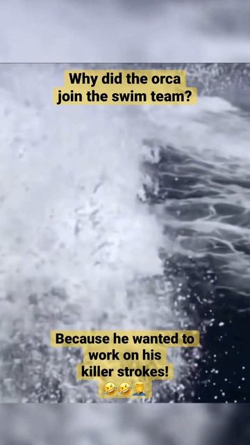 ‼️ URGENTLY ‼️ A crazy killer whale attacked a boat, changing its "deadly swimming styles."🤦♂️🤣🤣 смотреть онлайн