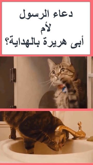 تعرف على دعاء الرسول لأم أبى هريرة بالهداية؟ #shorts смотреть онлайн