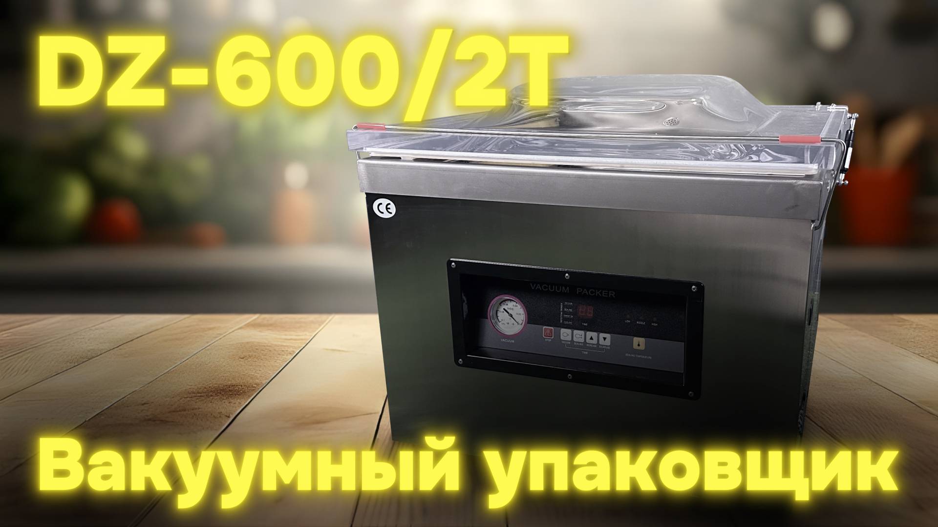 ОБЗОР НА БОЛЬШОЙ ВАКУУМНЫЙ УПАКОВЩИК DZ-600 2T! смотреть онлайн