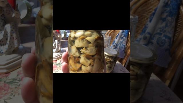 Сегодня про Грибы!!🍄🍁🍄