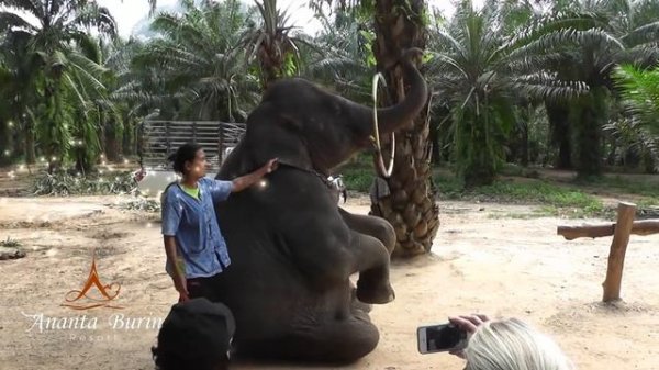 KRABI THAILAND AND THE ANANTA BURIN RESORT. HD