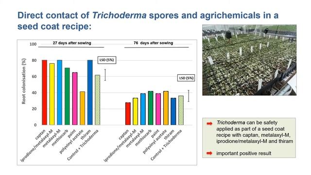 11a Trichoderma H Whelan смотреть онлайн