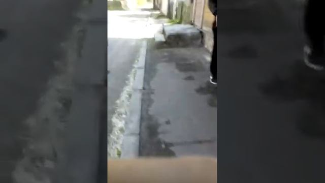 1 серия Поход в жопу