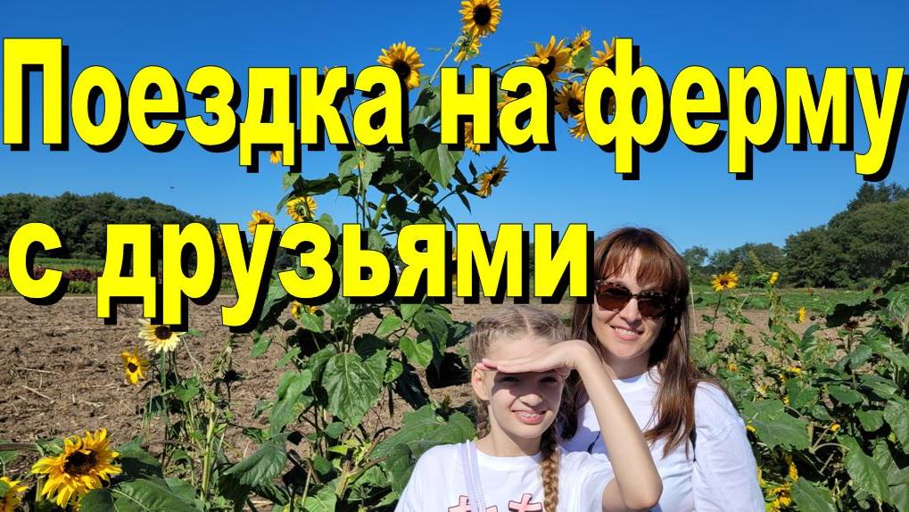 США. Поездка на ферму с друзьями смотреть онлайн