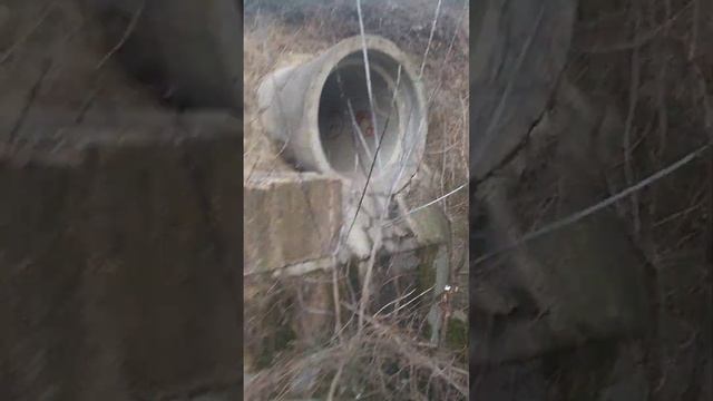 1 часть гулять смотреть онлайн