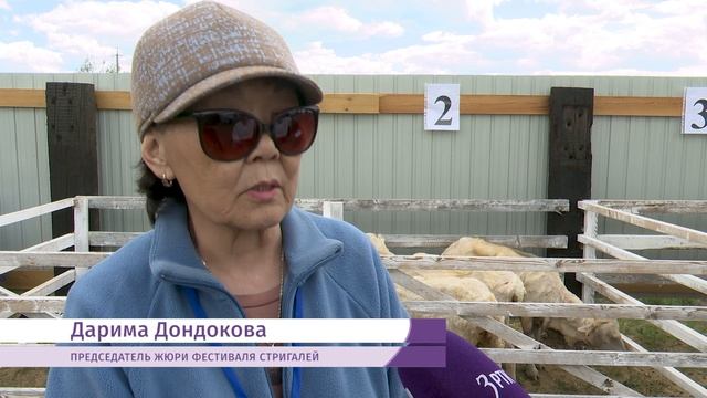 Житель Зуткулея остриг трех овец и получил 35 тысяч рублей смотреть онлайн