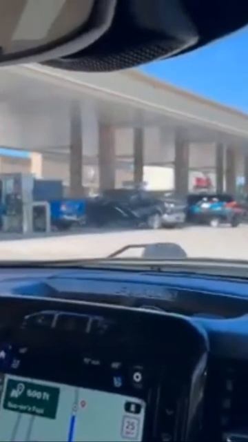 We spotted the Beaver! смотреть онлайн