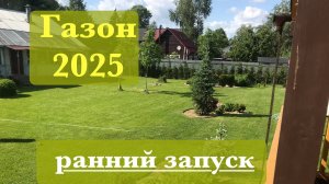 Газон, весна 2025