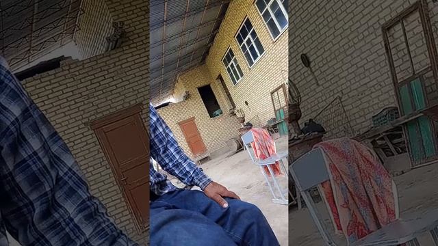 Чёрный волк Бородач отдыхает смотреть доконца смотреть онлайн