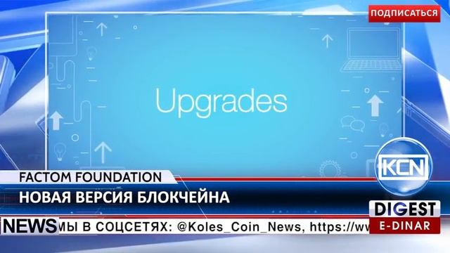 3000 петухов выпустили к Новому году в Гусь Хрустальном смотреть онлайн