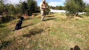 Травим кротов дымом