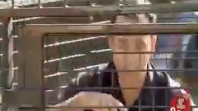 Hidden Camera Funny Boy смотреть онлайн