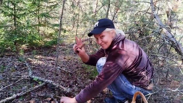 грибы #грибы #грибочки #погрибы #грибалка #грибанутые