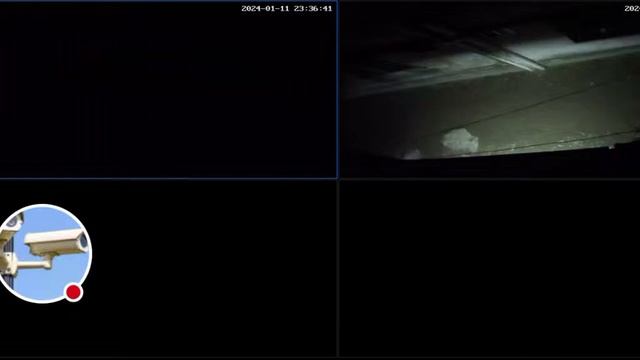 late night 23.240m liv3 cctv смотреть онлайн
