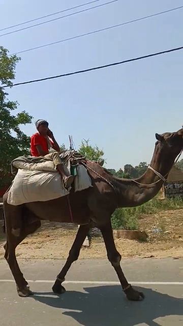 mere sang - sang смотреть онлайн