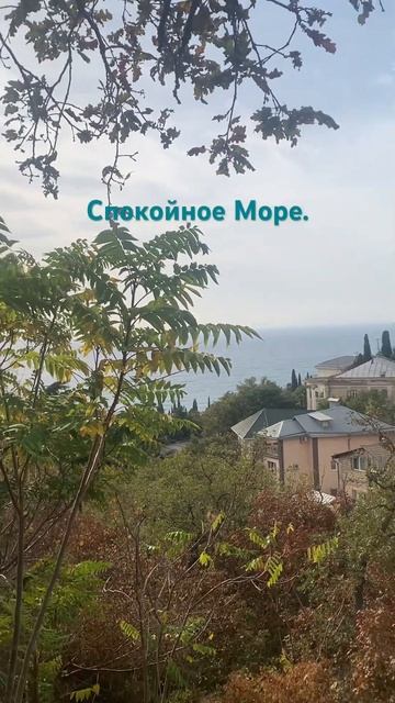 Спокойное Море. Крым. ЮБК. Гаспра. #артемийкрым #крым #artemiikrym #гаспра #юбк смотреть онлайн
