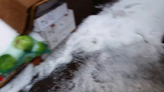 Сегодня град в Питере