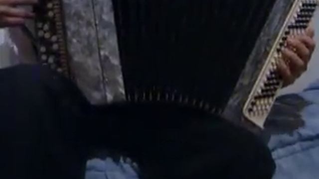 Ой у вишневому саду смотреть онлайн